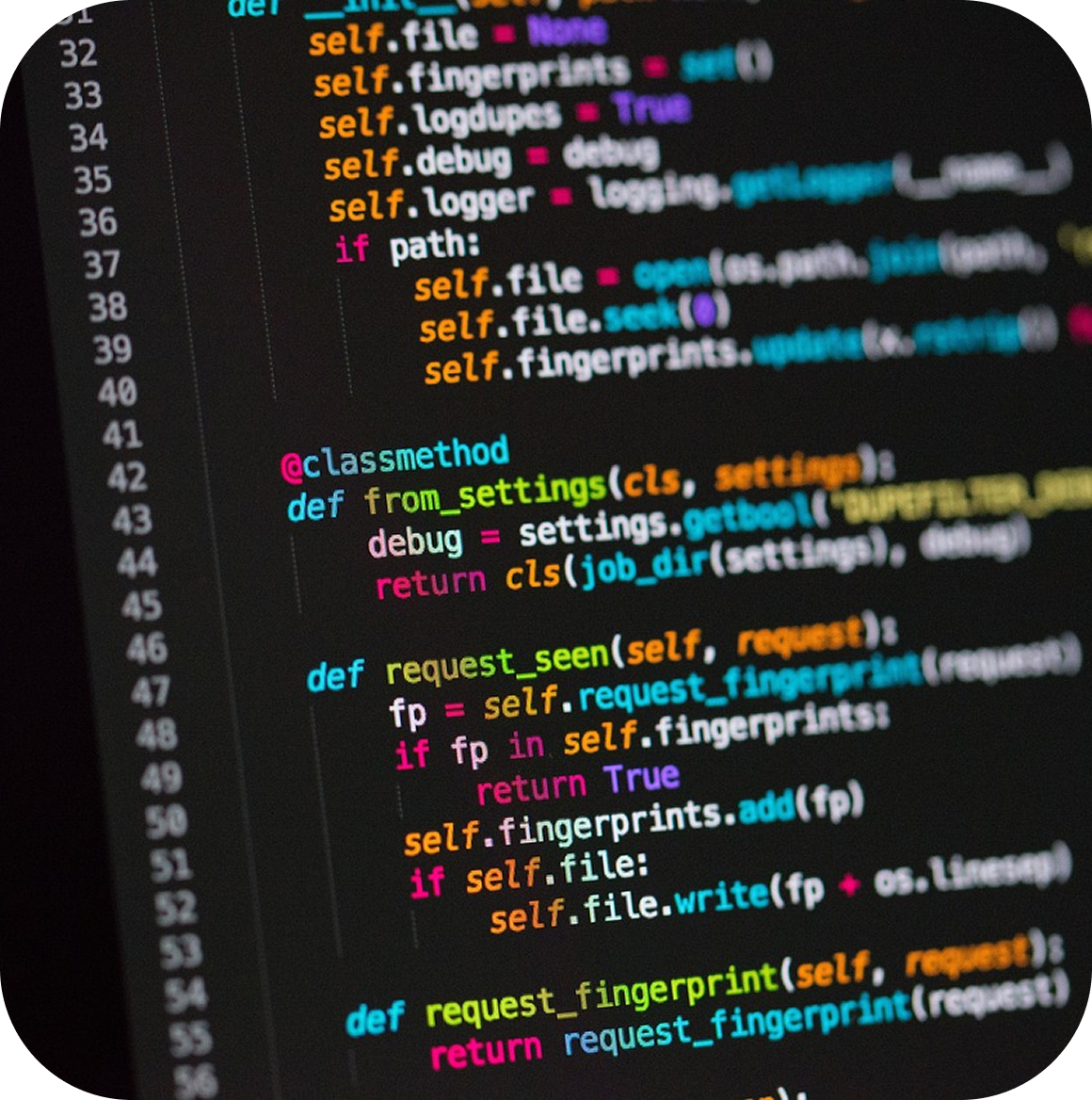 Web Development